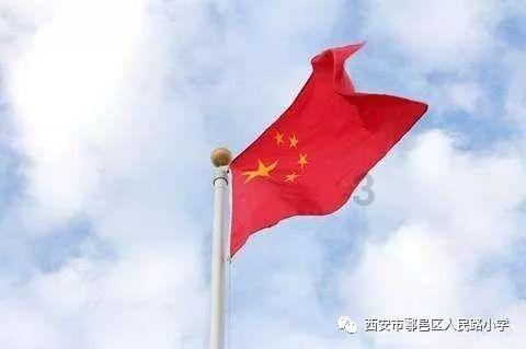 专业问答平台-拼多多官方免费下载,快速解答你的问题