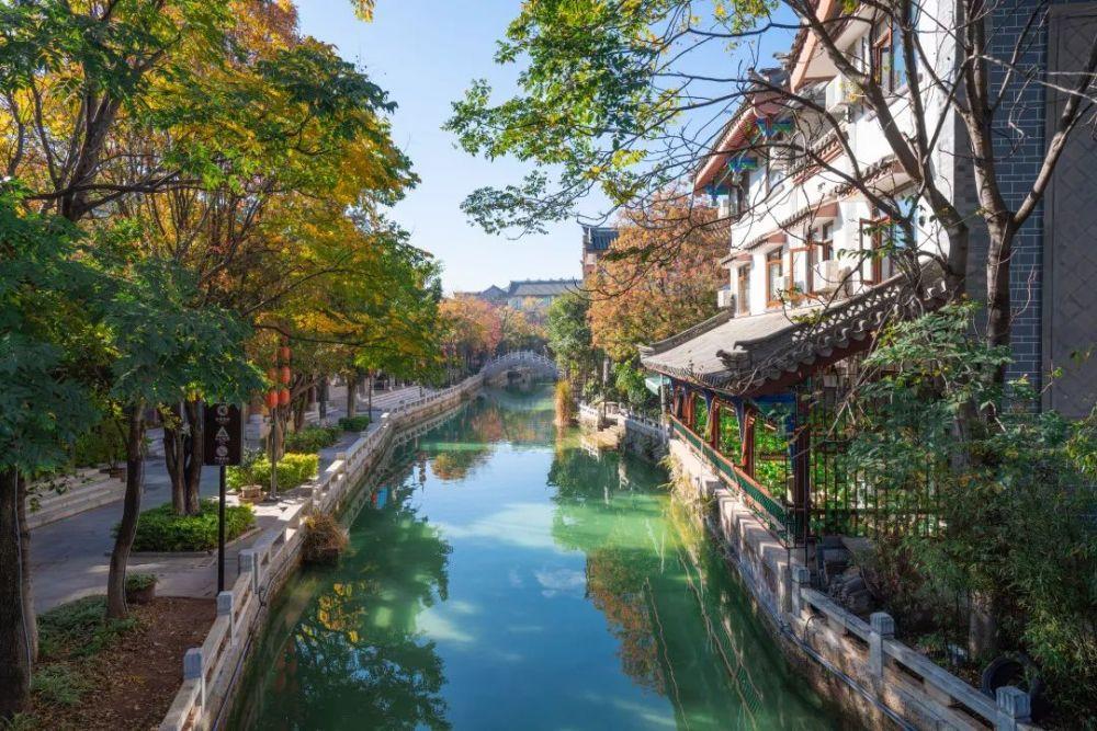 虎胆熊威3
